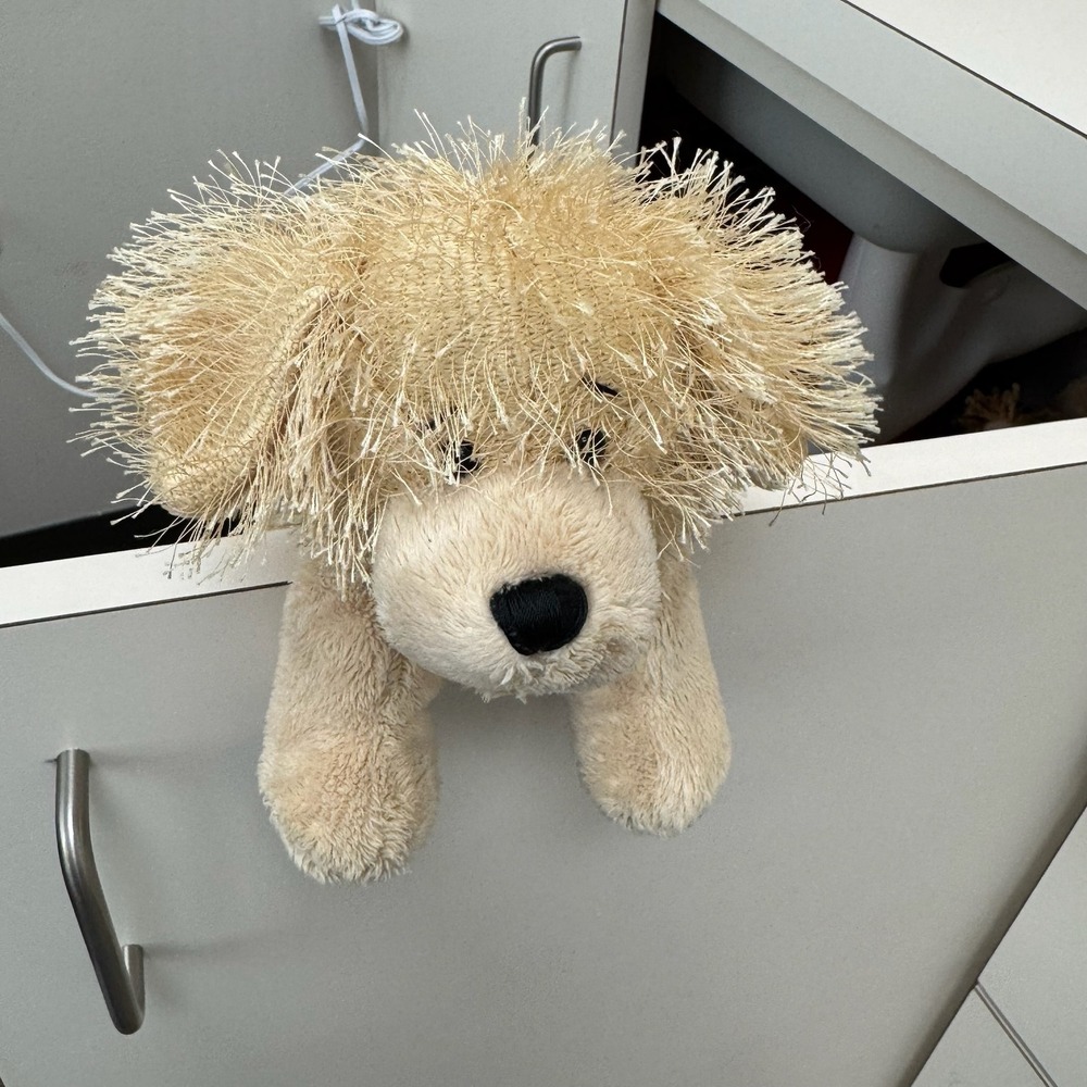Webkinz Cuddles Plush Dog Shaggy Blonde Floppy Ears Animal Toy